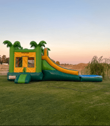 Jungle Bounce House With Slide