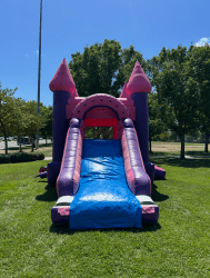 View20recent20photos201.jpeg 1760688416 Pink Dry Combo