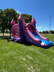 View20recent20photos202.jpeg 1760688416 Pink Dry Combo